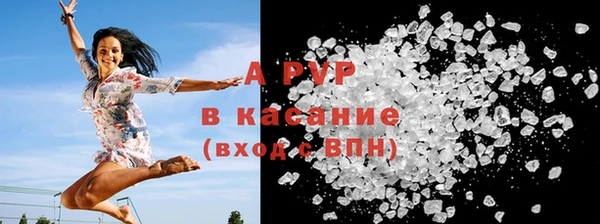 apvp Вяземский